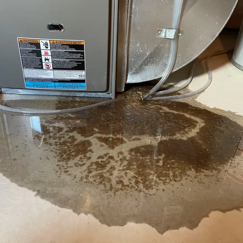 Appliance Leak Cleanup in Riverside, AL